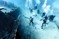 CHECK OUT OUR CRUISE & DIVE VACATION